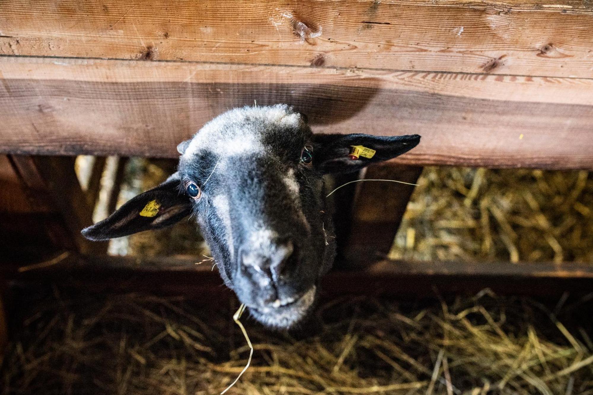 Apartmán Beim Untertimmeltaler Matrei in Osttirol Exteriér fotografie