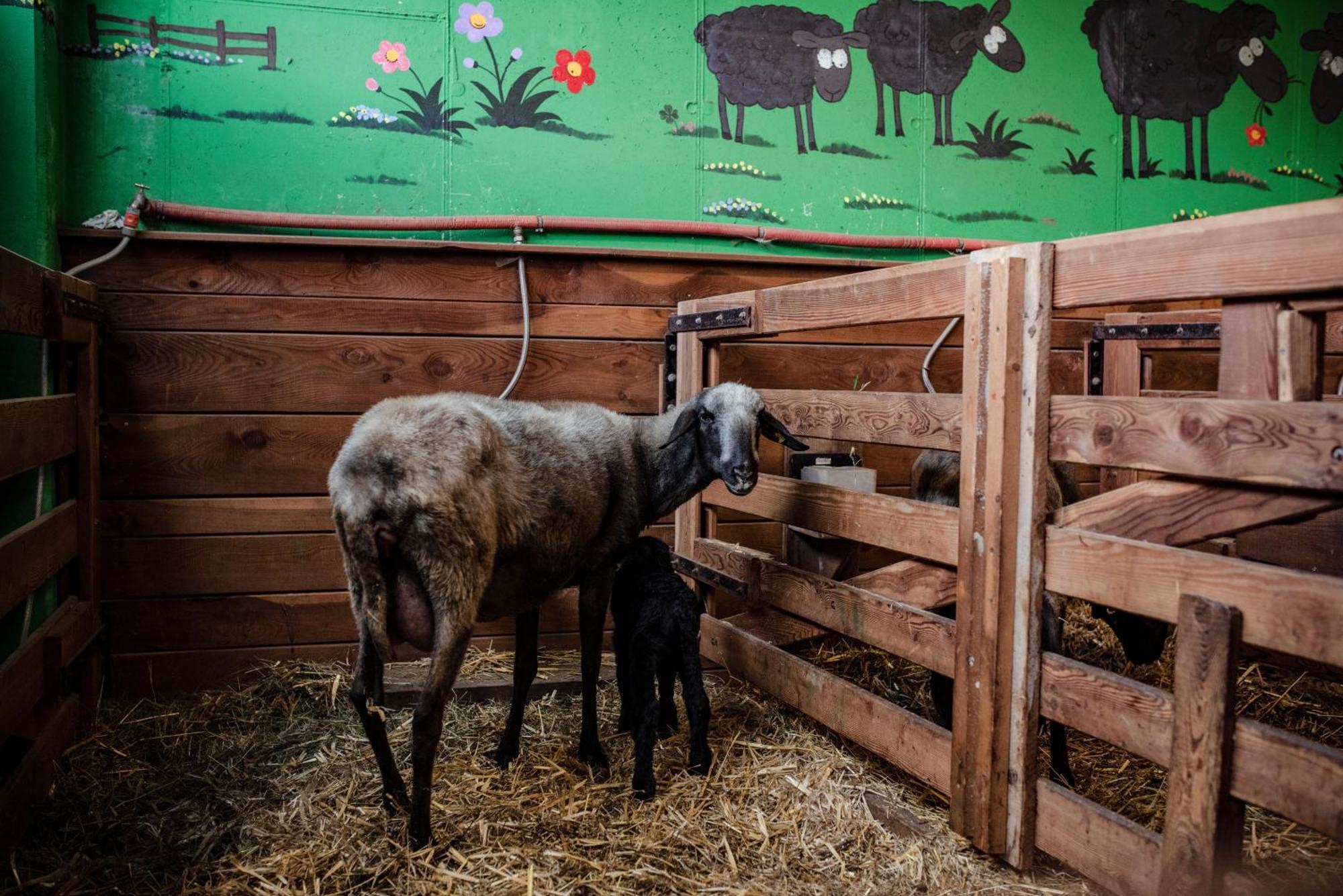 Apartmán Beim Untertimmeltaler Matrei in Osttirol Exteriér fotografie